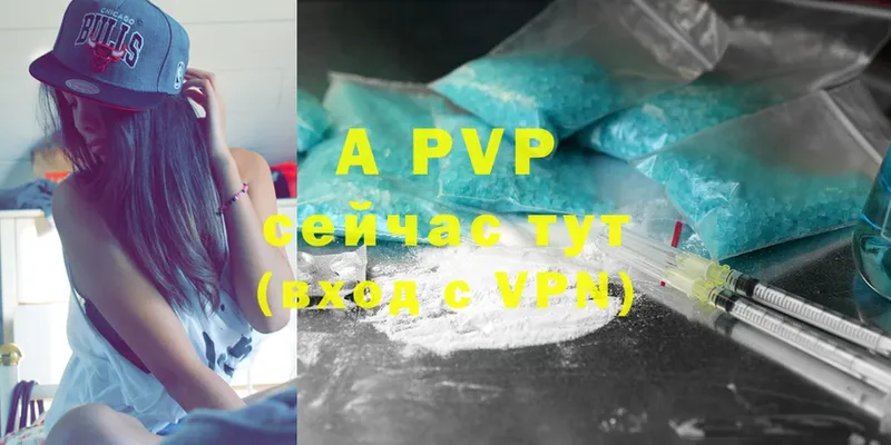 Alfa_PVP СК КРИС  Великий Устюг 