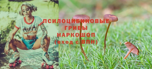 героин Осинники
