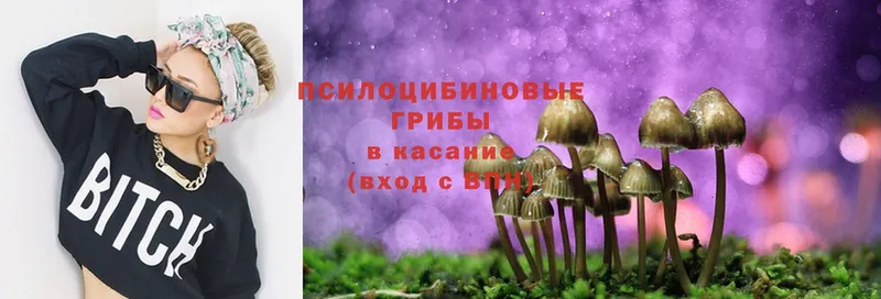 Галлюциногенные грибы Magic Shrooms  наркота  Великий Устюг 