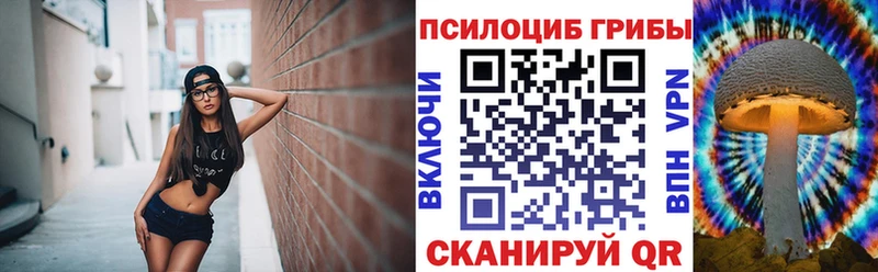 где можно купить   Великий Устюг  Псилоцибиновые грибы Psilocybine cubensis 