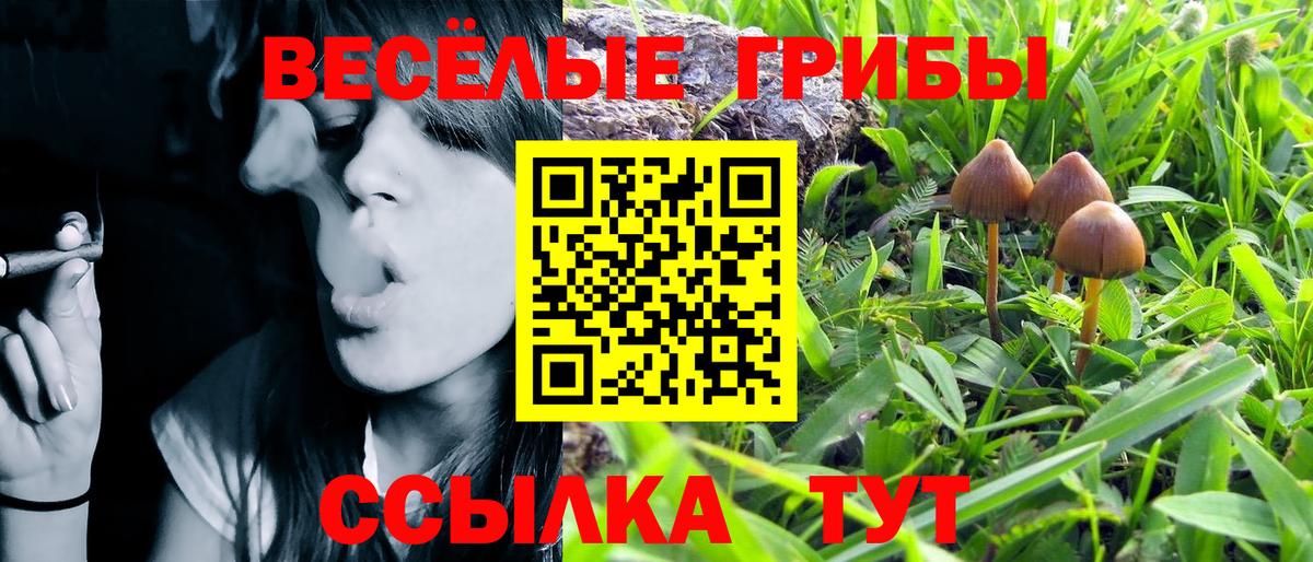 Гашиш  МДМА  Гашиш  Меф   Великий Устюг  Cocaine 