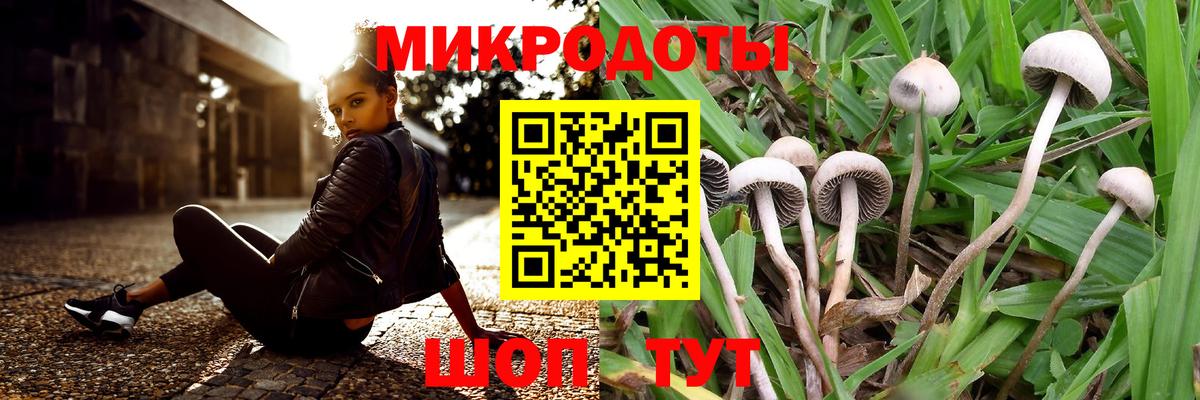 магазин    Вход с VPN  Великий Устюг  Псилоцибиновые грибы Psilocybe 