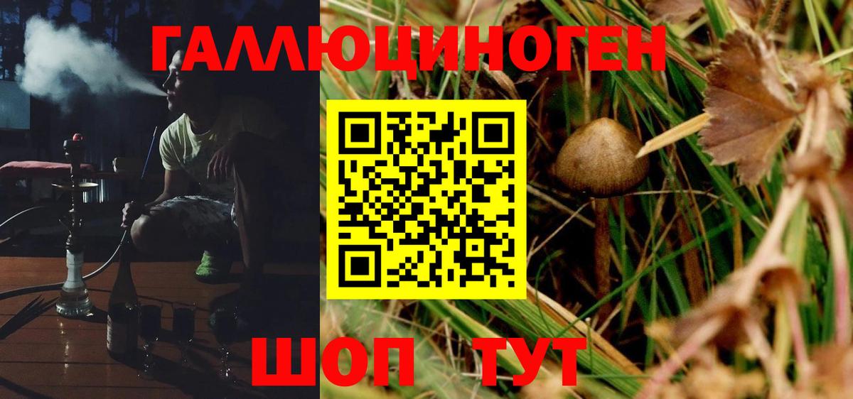Галлюциногенные грибы GOLDEN TEACHER Великий Устюг