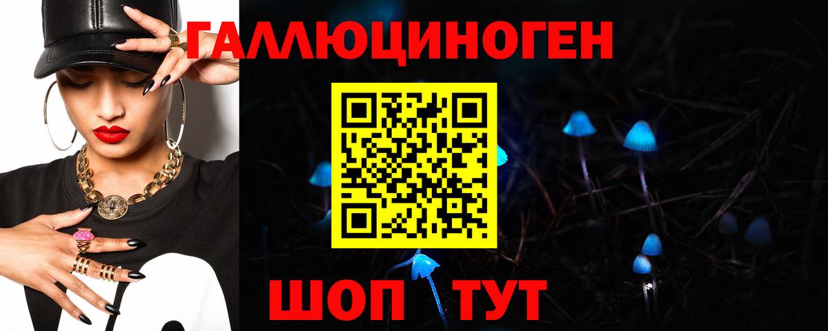 Псилоцибиновые грибы мицелий Великий Устюг